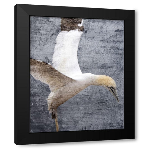 In Flight 1 Black Modern Wood Framed Art Print by Kimberly, Allen