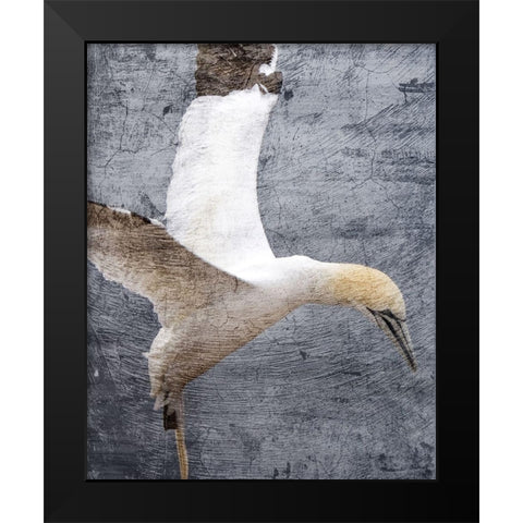 In Flight 1 Black Modern Wood Framed Art Print by Kimberly, Allen