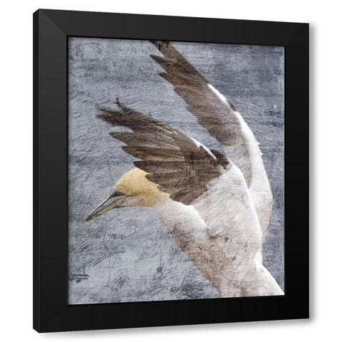 In Flight 2 Black Modern Wood Framed Art Print with Double Matting by Kimberly, Allen
