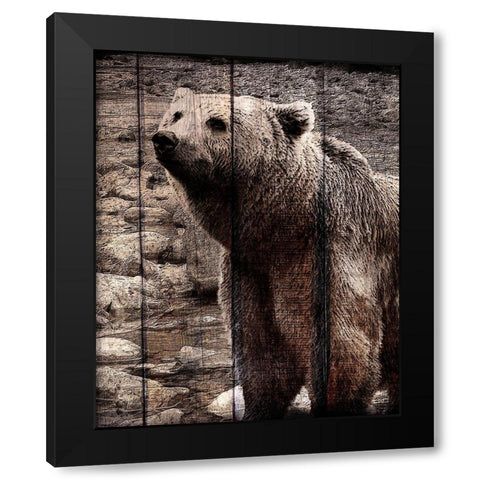 Into the Woods 3 Black Modern Wood Framed Art Print with Double Matting by Kimberly, Allen