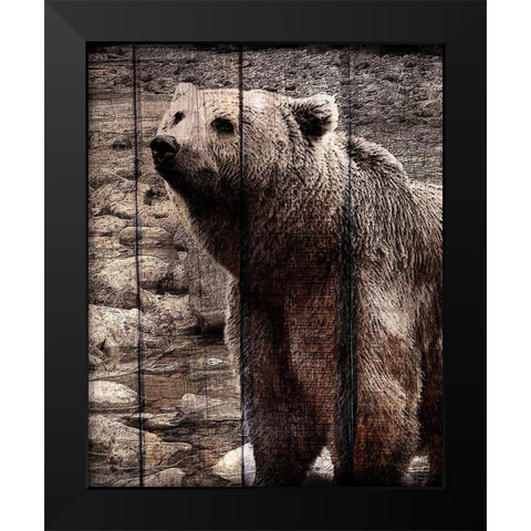 Into the Woods 3 Black Modern Wood Framed Art Print by Kimberly, Allen