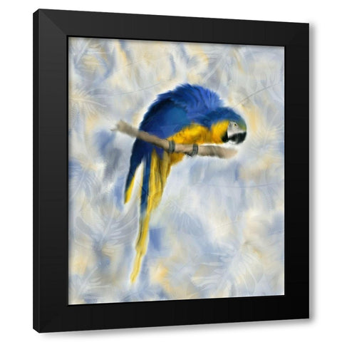 Parrot 1 Black Modern Wood Framed Art Print by Kimberly, Allen
