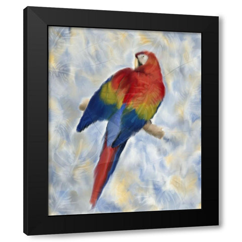 Parrot 2 Black Modern Wood Framed Art Print by Kimberly, Allen