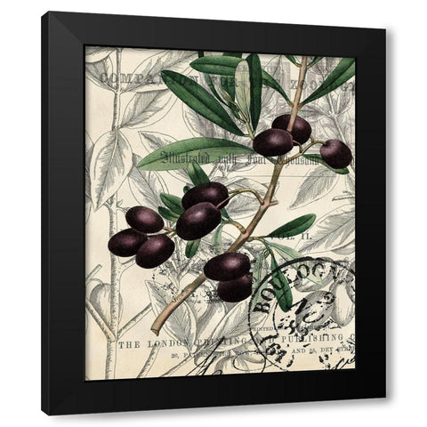 Olive Love 1 Black Modern Wood Framed Art Print with Double Matting by Kimberly, Allen