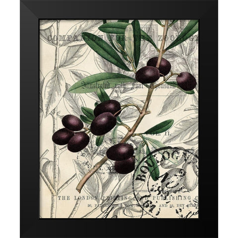 Olive Love 1 Black Modern Wood Framed Art Print by Kimberly, Allen
