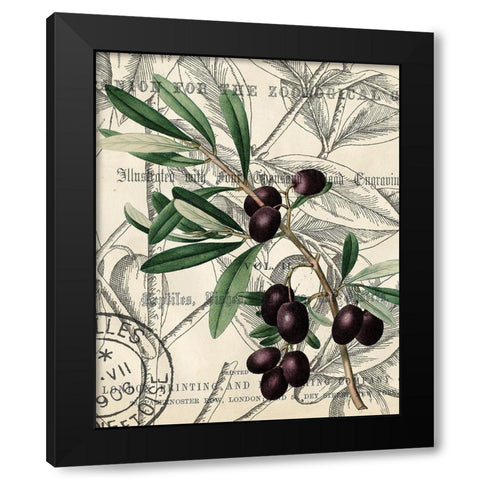 Olive Love 2 Black Modern Wood Framed Art Print by Kimberly, Allen