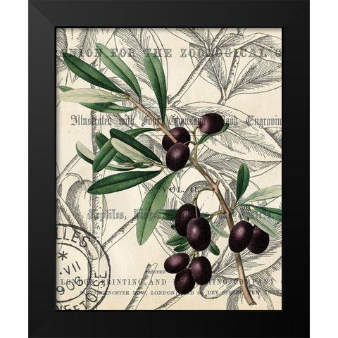 Olive Love 2 Black Modern Wood Framed Art Print by Kimberly, Allen