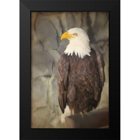 Perched Black Modern Wood Framed Art Print by Kimberly, Allen