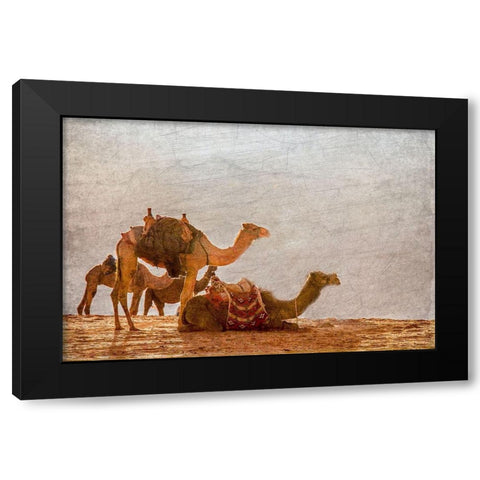 In the Desert Black Modern Wood Framed Art Print by Kimberly, Allen
