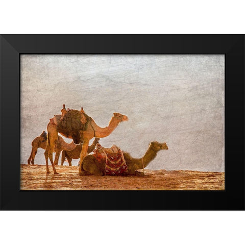 In the Desert Black Modern Wood Framed Art Print by Kimberly, Allen