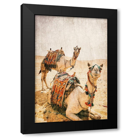 At rest Black Modern Wood Framed Art Print by Kimberly, Allen