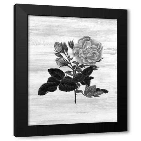 Botanical Flower 1 Black Modern Wood Framed Art Print by Kimberly, Allen