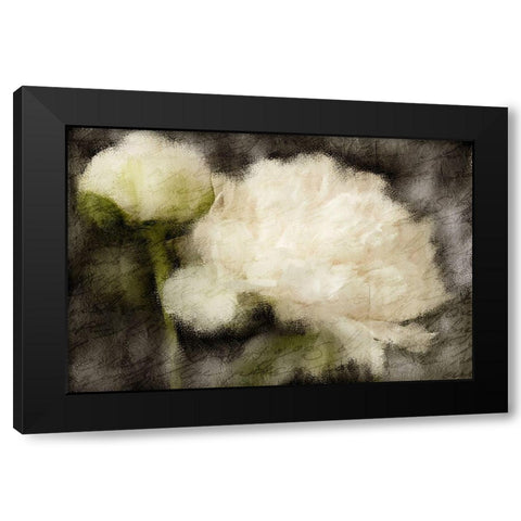 Peony Blooming Black Modern Wood Framed Art Print with Double Matting by Kimberly, Allen