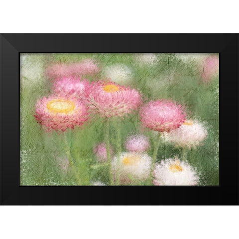 Pink Wild Black Modern Wood Framed Art Print by Kimberly, Allen