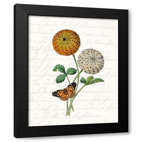 Dahlia 1 Black Modern Wood Framed Art Print with Double Matting by Kimberly, Allen