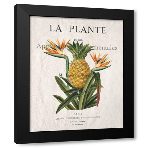 La Plante Black Modern Wood Framed Art Print with Double Matting by Kimberly, Allen