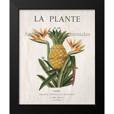 La Plante Black Modern Wood Framed Art Print by Kimberly, Allen