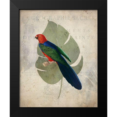 Parrot 2 Black Modern Wood Framed Art Print by Kimberly, Allen