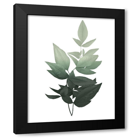 Botanical Greens 1 Black Modern Wood Framed Art Print by Kimberly, Allen