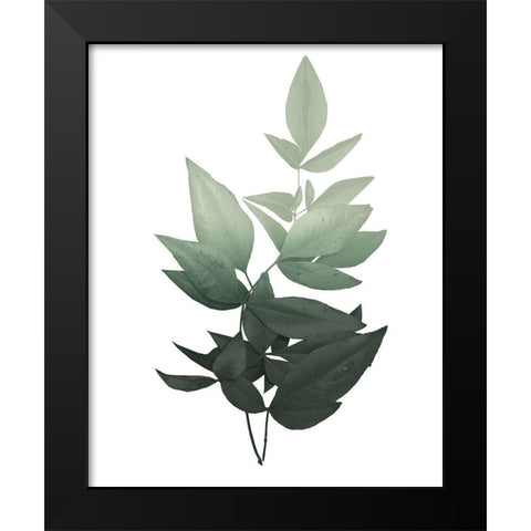Botanical Greens 1 Black Modern Wood Framed Art Print by Kimberly, Allen