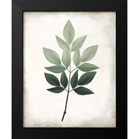 Vintage Botanical Greens 1 Black Modern Wood Framed Art Print by Allen, Kimberly