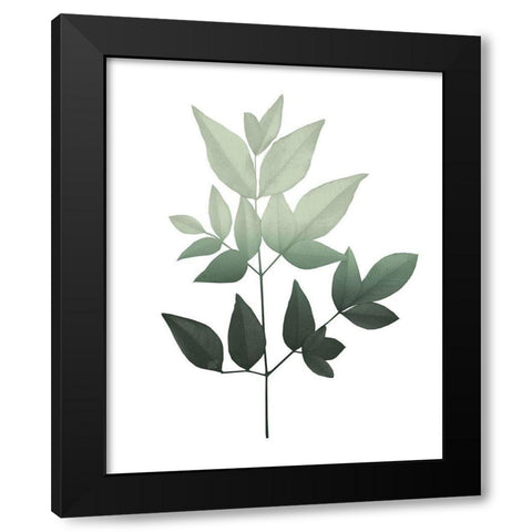 Botanical Greens 3 Black Modern Wood Framed Art Print by Kimberly, Allen