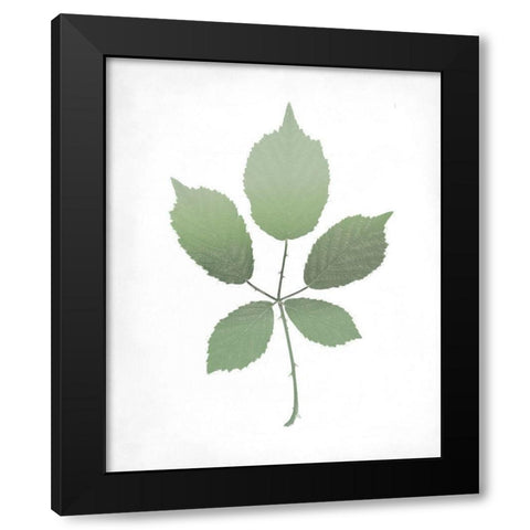 Leaves Print 2 Black Modern Wood Framed Art Print by Kimberly, Allen