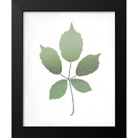 Leaves Print 2 Black Modern Wood Framed Art Print by Kimberly, Allen