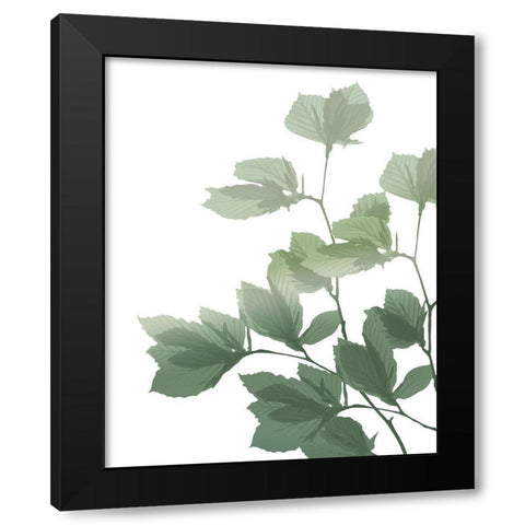 Silhouette Branch Black Modern Wood Framed Art Print by Kimberly, Allen