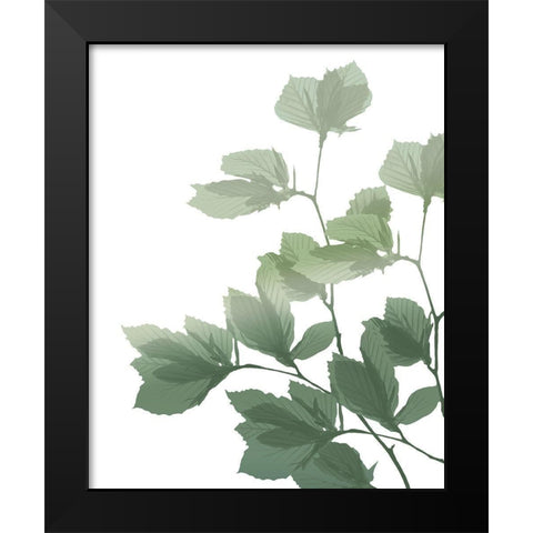 Silhouette Branch Black Modern Wood Framed Art Print by Kimberly, Allen