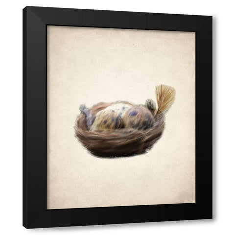 Natural 2 Black Modern Wood Framed Art Print with Double Matting by Kimberly, Allen