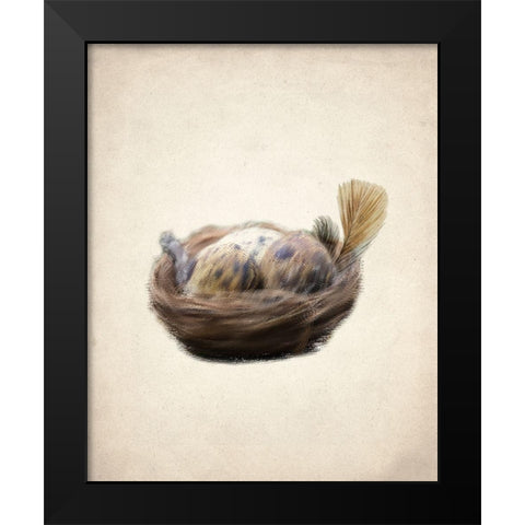 Natural 2 Black Modern Wood Framed Art Print by Kimberly, Allen