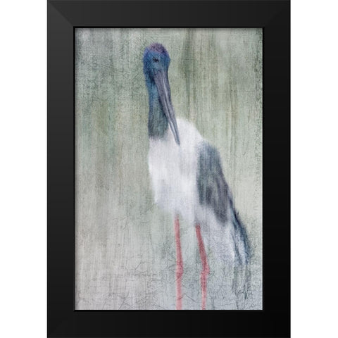 Exotic Black Modern Wood Framed Art Print by Kimberly, Allen