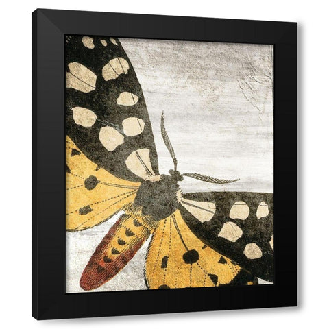 Vintage Butterfly 1 Black Modern Wood Framed Art Print by Kimberly, Allen