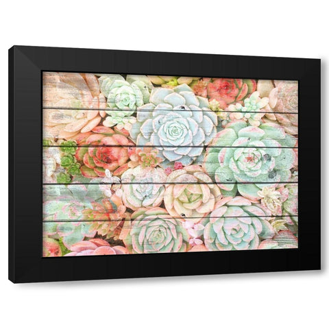 Succulent Cluster Black Modern Wood Framed Art Print with Double Matting by Kimberly, Allen