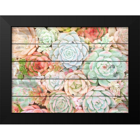 Succulent Cluster Black Modern Wood Framed Art Print by Kimberly, Allen