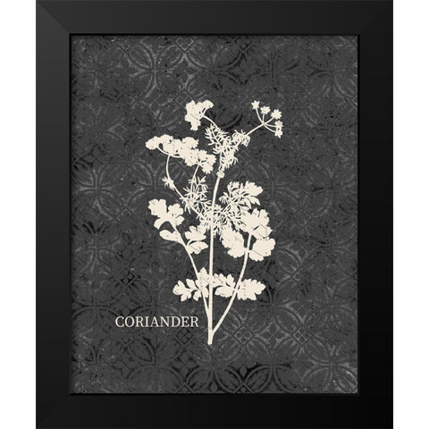Fresh Coriander Black Modern Wood Framed Art Print by Kimberly, Allen