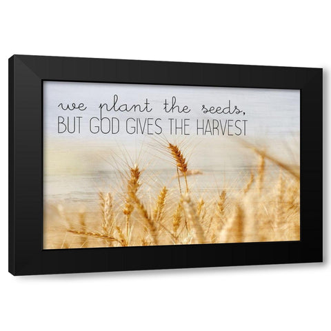 The Harvest Black Modern Wood Framed Art Print by Kimberly, Allen