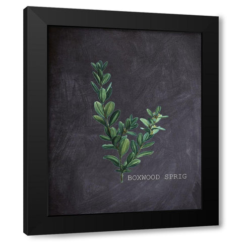 Blackboard Botanical 1 Black Modern Wood Framed Art Print by Kimberly, Allen