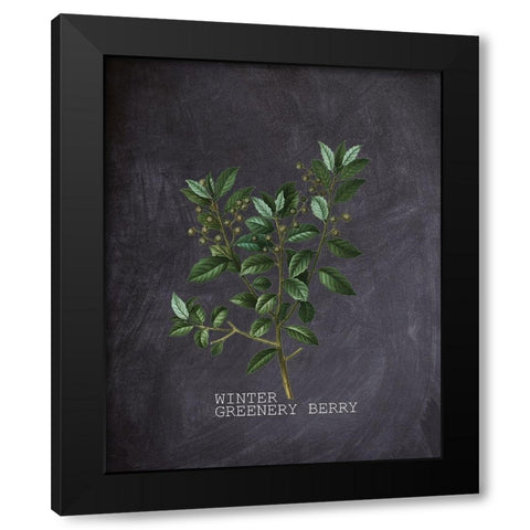 Blackboard Botanical 2 Black Modern Wood Framed Art Print by Kimberly, Allen