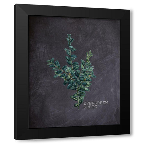 Blackboard Botanical 3 Black Modern Wood Framed Art Print by Kimberly, Allen