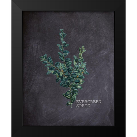 Blackboard Botanical 3 Black Modern Wood Framed Art Print by Kimberly, Allen