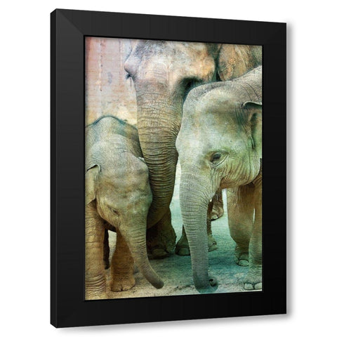 Elephant Family Black Modern Wood Framed Art Print by Kimberly, Allen