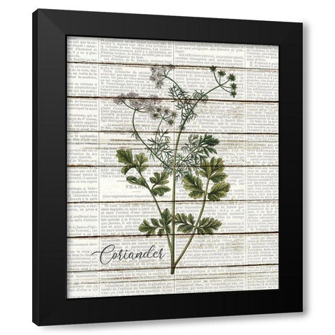 Coriander Black Modern Wood Framed Art Print with Double Matting by Kimberly, Allen