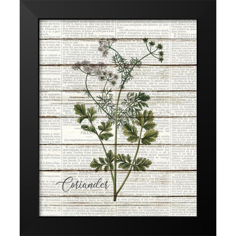Coriander Black Modern Wood Framed Art Print by Kimberly, Allen