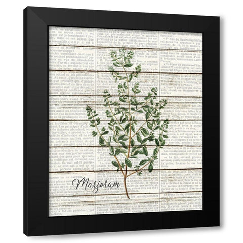 Marjoram Black Modern Wood Framed Art Print with Double Matting by Kimberly, Allen