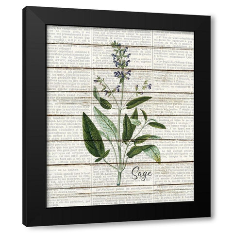 Sage Black Modern Wood Framed Art Print with Double Matting by Kimberly, Allen