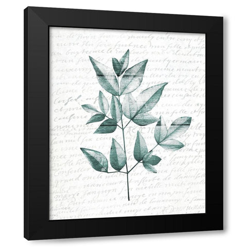 Pressed Leaves 1 Black Modern Wood Framed Art Print by Kimberly, Allen