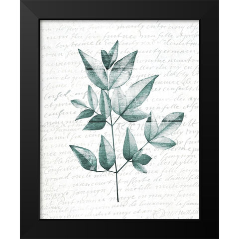 Pressed Leaves 1 Black Modern Wood Framed Art Print by Kimberly, Allen