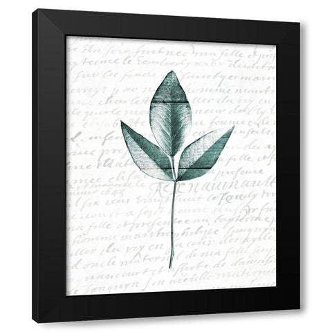 Pressed Leaves 2 Black Modern Wood Framed Art Print by Kimberly, Allen